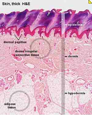 skinresurfacing