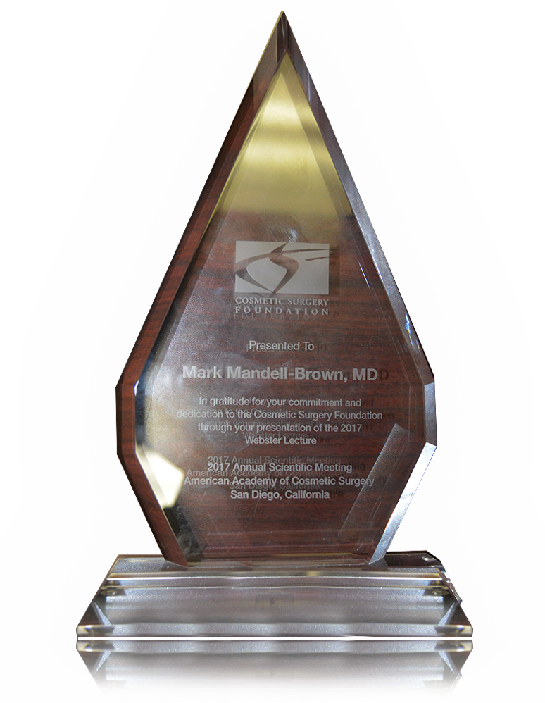 Image of the Webster Award