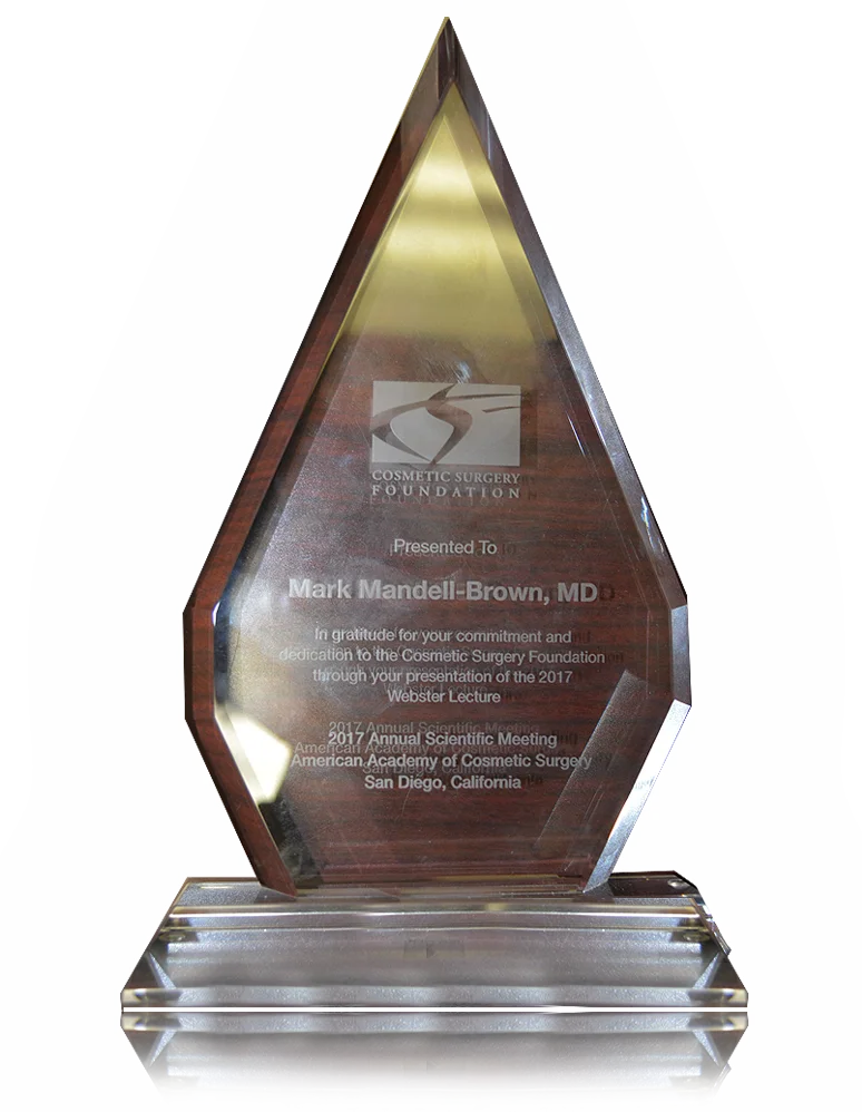 Image of the Webster Award